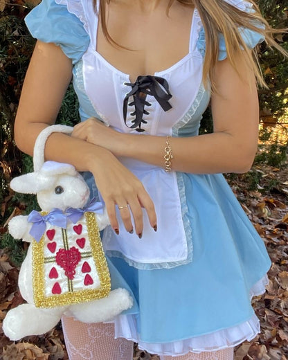 Alice in Wonderland Costume