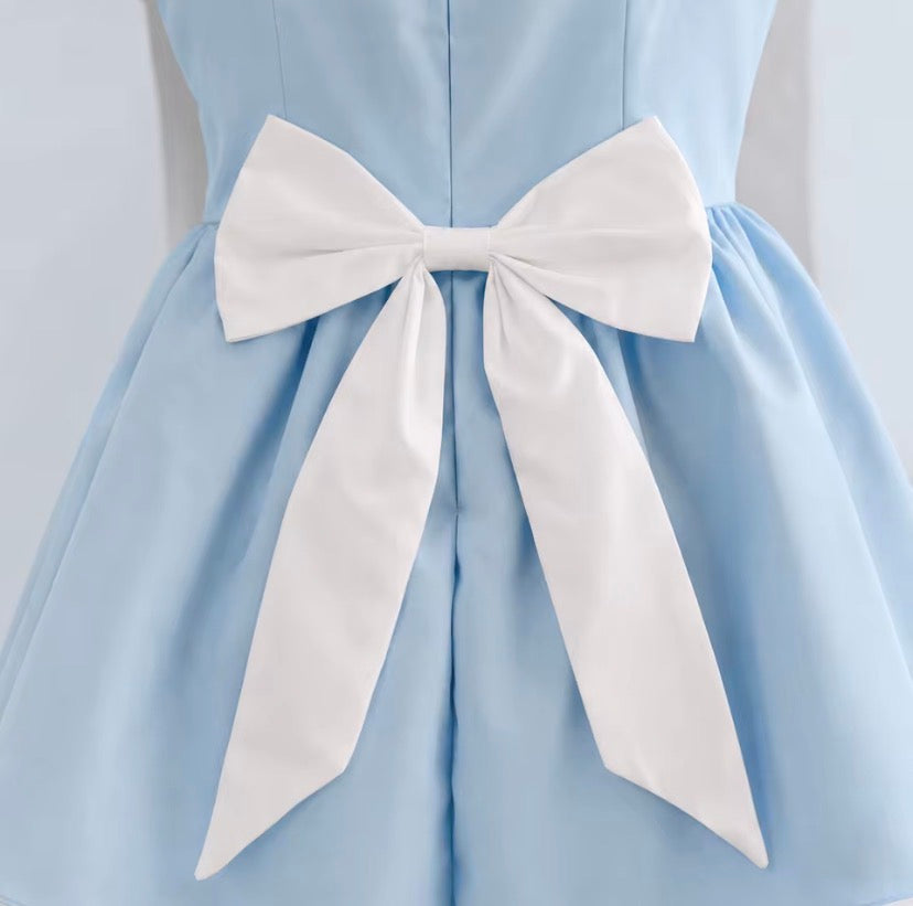 Alice in Wonderland Costume
