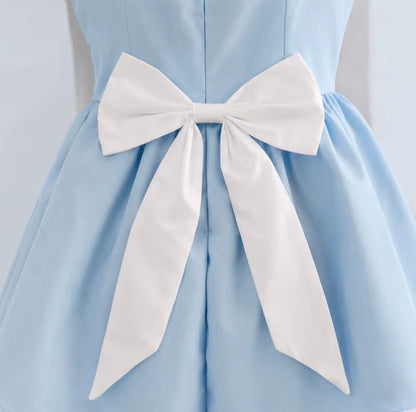 Alice in Wonderland Costume